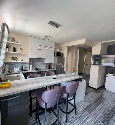 Riquier Apartment | Elegant Apartment Terrace Port of Nice