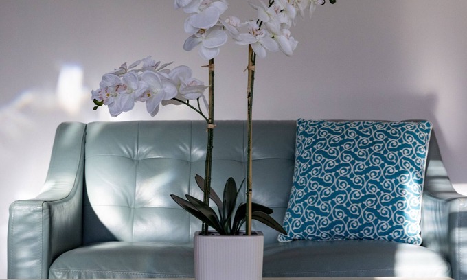 Lantana Apartment | Elegant space, close to the beach, restaurants and bars!