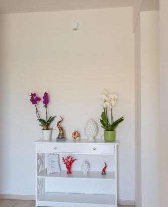 Capaccio Bed & Breakfast | Elicon B&B