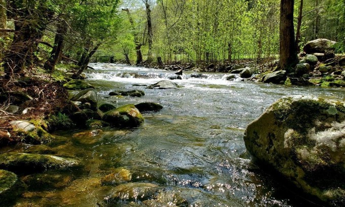 Cosby Cabin | Elk Run is a beautiful, two bedroom cabin situated directly on Cosby Creek.