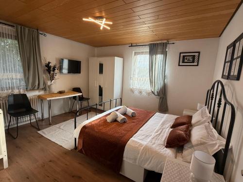 Waldshut-Tiengen Apartment | Emi's Guesthouse A2