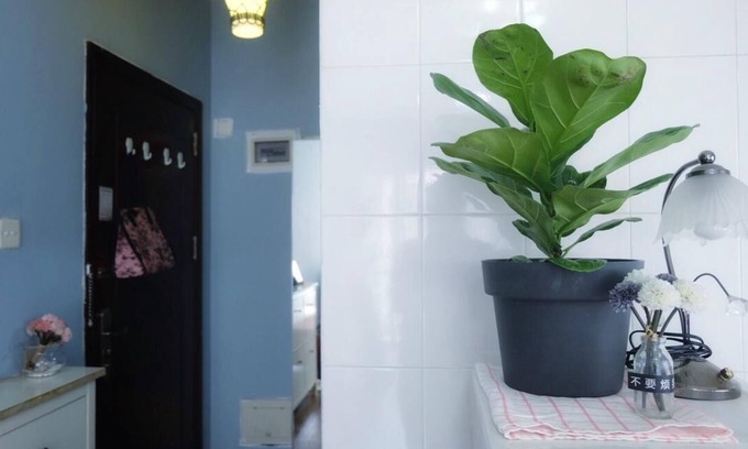 Rock Hill House | Enchanted forest hotel