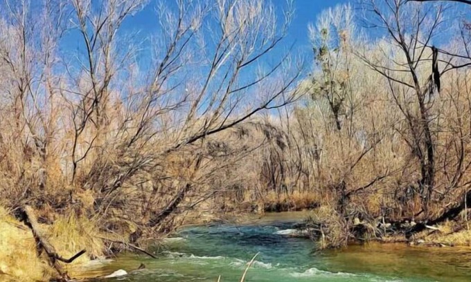 Camp Verde House | Enjoy a Hassle Free and Suiting Stay! Pets Allowed, Near Grand Canyon Tours!