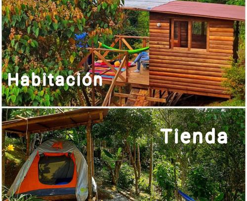 Yumbo Other | Entre Arboles Cali