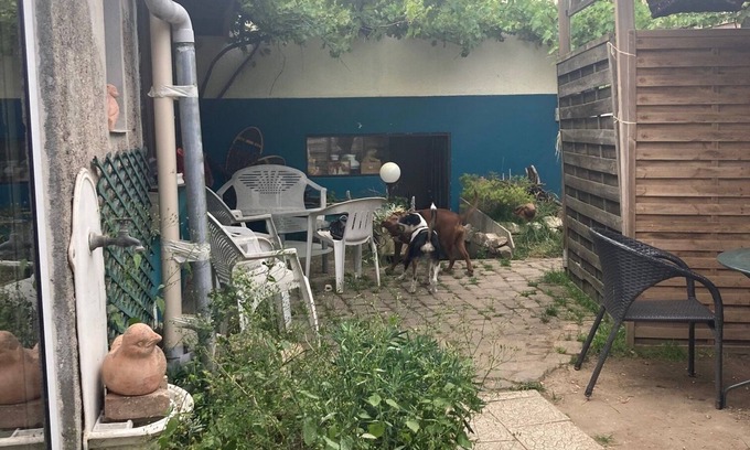Le Plateau Apartment | EQUIPPED STUDIO WITH GARDEN