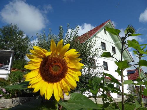 Karsee Apartment | erholungsraum Karsee - Ferienwohnung