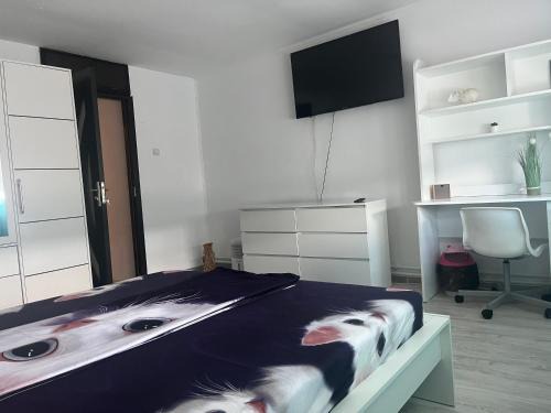Sulina Apartment | Erinati