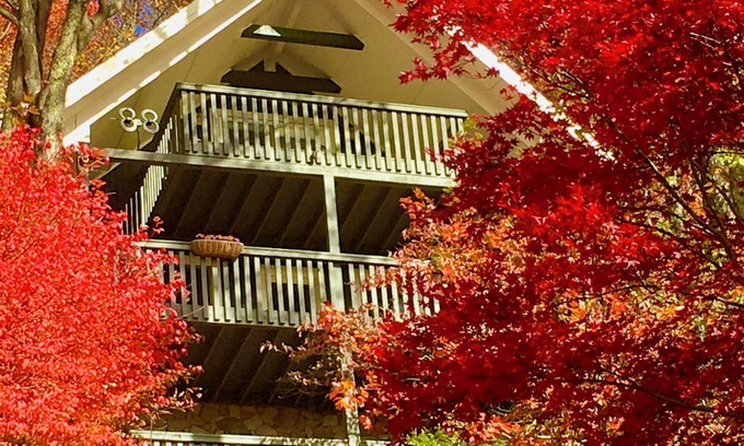 Old Fort Cabin | Escape to a Charming 3-bedroom cabin wonderland, with amazing long range views.