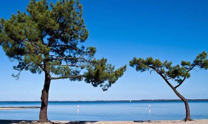 Pyla-sur-Mer Villa | Escape to Arcachon Bay: Luxurious Retreat and Exciting Adventures