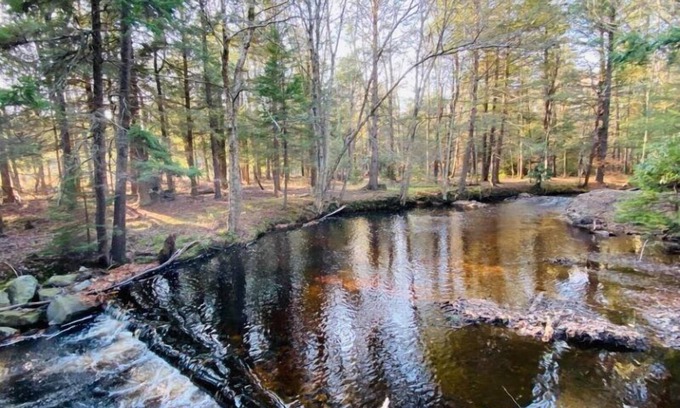 Pocono Lake Cabin | Escape to Serenity: Monthly Cottage Rental by the Stream in Pocono Lake!