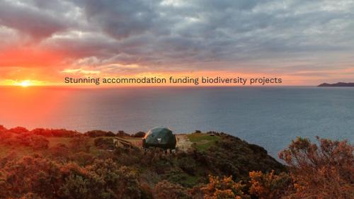 Pukerua Bay Other | Escarpment Domes