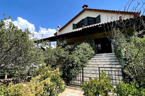 Lefkakia House | Estate Tsiati