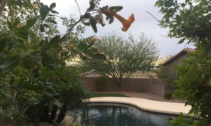 Estrella Mountain Ranch House | Estrella Mountain Oasis-Something for everyone!