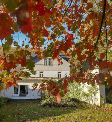 Weilrod Apartment | Etzauer Mühle, Apartment mit Balkon
