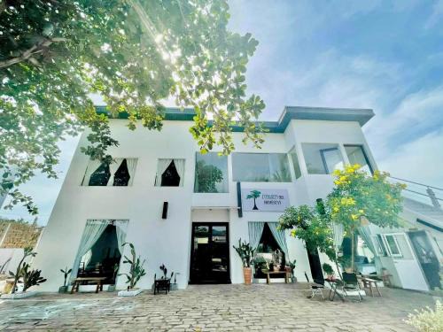 Mui Ne Hotel | Evergreen Tree Homestay