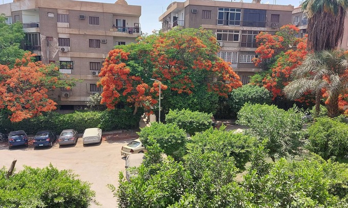 Taqseem Laselky Apartment | Excellent furnished apartment ready to move in quite area at Maadi