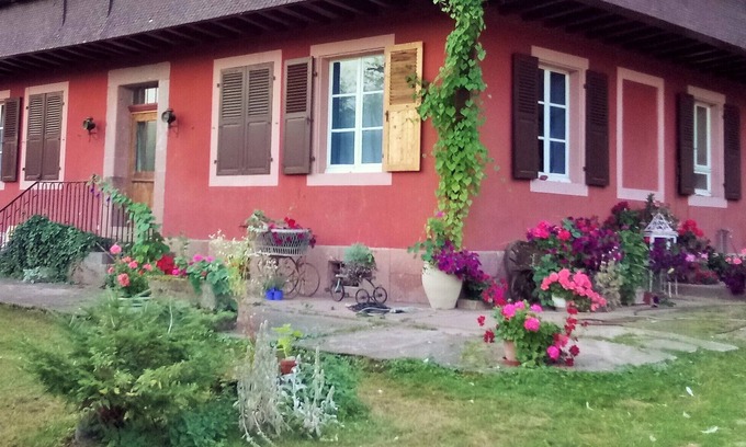 Munster Apartment | Exceptional site on the edge of the forest, between mountains and countryside