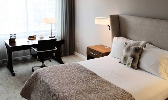 Edina Apartment | Executive Queen Room in Minneapolis Boutique Hotel