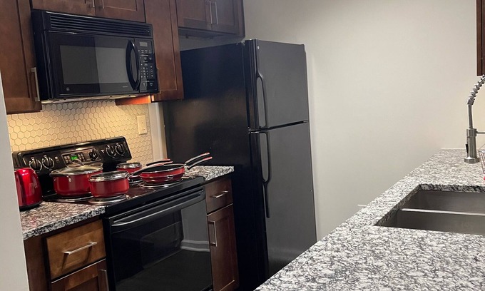Duluth Apartment | Exotic Luxury 2bs, 2baths Contemporary Living /Duluth