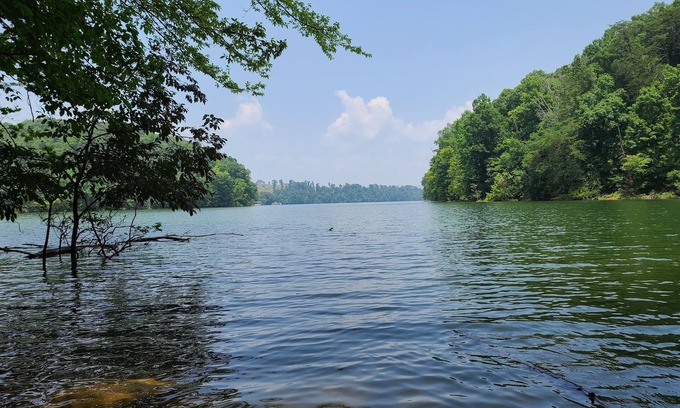 Morristown House | Experience tranquility near Douglas Lake 18 min