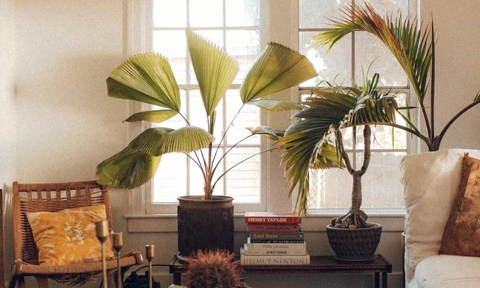 Eagle Rock Bed & Breakfast | Experiential Private Club's Guest Room in hills of Highland Park