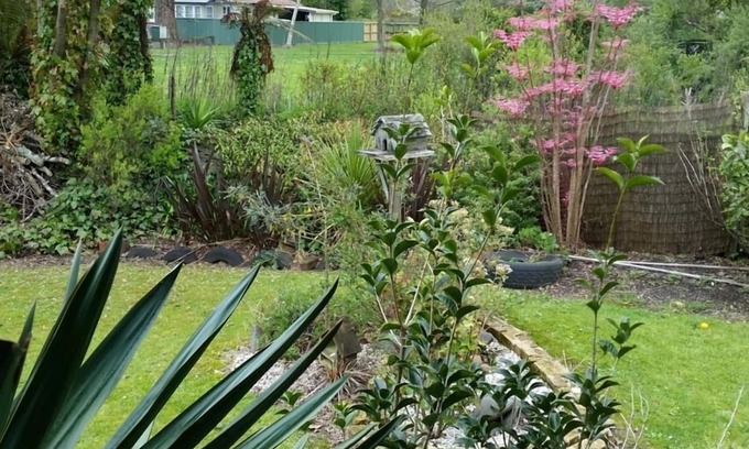 Kawaha Point House | Fairy Springs - fully stocked 2 bedroom Cottage **Free WiFi**