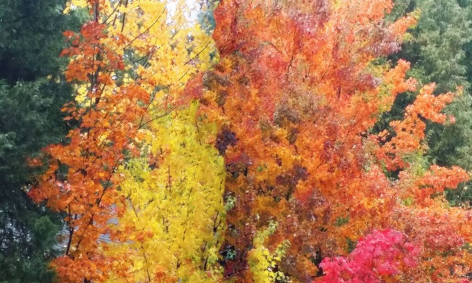 Lake Almanor Country Club House | Fall is Calling! Lake Almanor Family Vacation Home for the Thanksgiving Holiday.