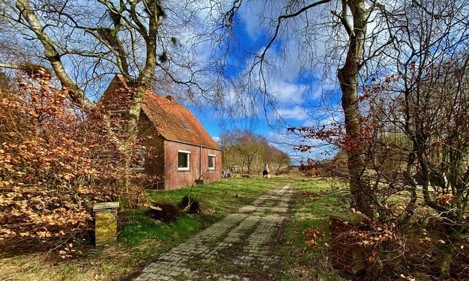 Leezdorf House | Familienurlaub in Ostfriesland auf dem Land - in Aller Ruhe Genießen