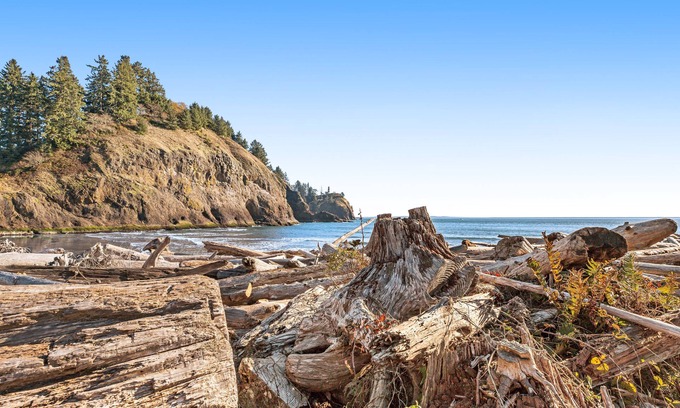 Nahcotta House | Family-Friendly Cottage with Firepit, Bay Views, Private W/D, & Free WiFi
