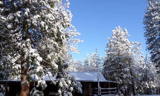 Pinehurst Cabin | Family friendly house (cabin) 20 minutes from Kings Canyon, pets welcome!