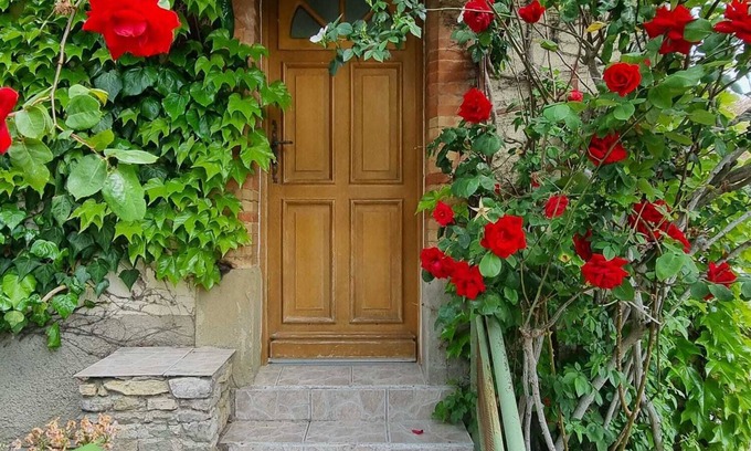 Carcassonne House | Family holiday home in a quiet location, just a few minutes from the Cité
