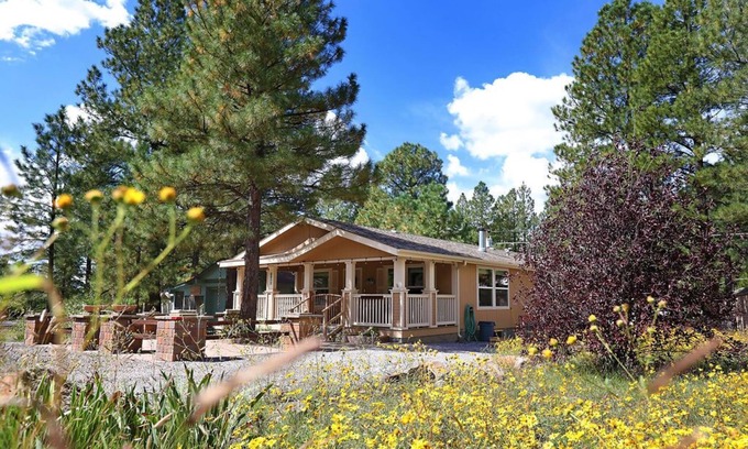 Munds Park House | Family retreat in Munds Park; bring your dog!
