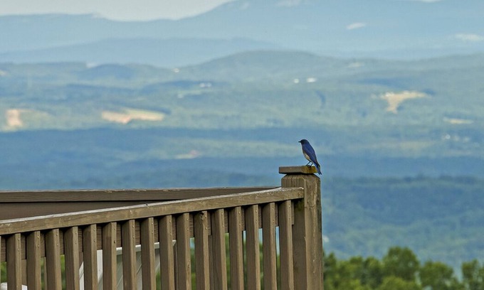 Fancy Gap Cabin | Fancy Gap Va overlooking Pilot Mountain, fantastic seven county views. Amazing