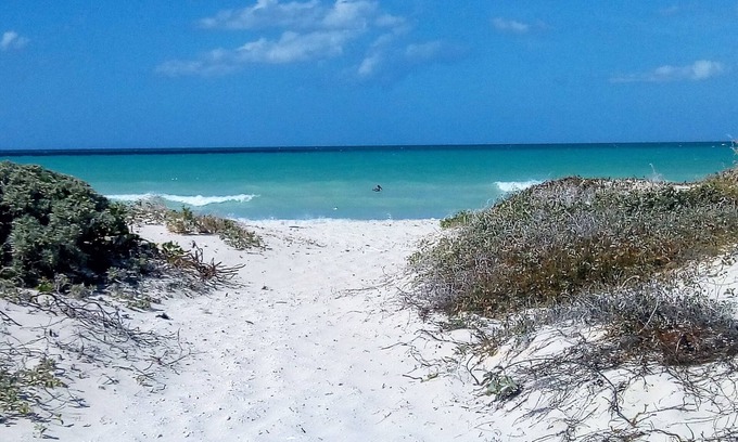 Panaba Other | Farm Lodging near San Felipe, Yucatan