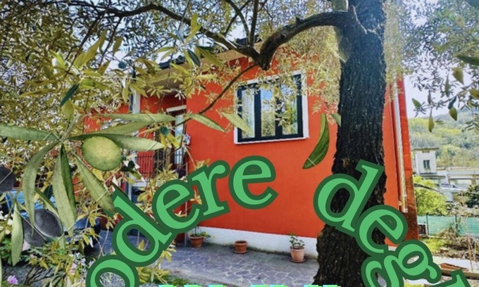 Serravalle Pistoiese Apartment | FARM OF OLIVE TREES