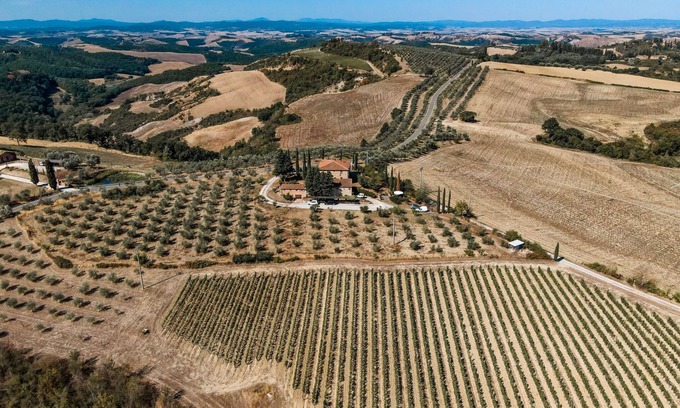 Asciano Other | Farm Saltafabbro apartment ROSA