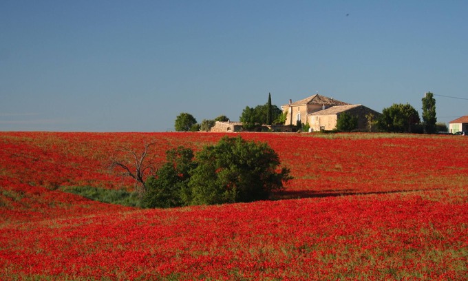 Valensole House | farmhouse in clos de la tuilerie