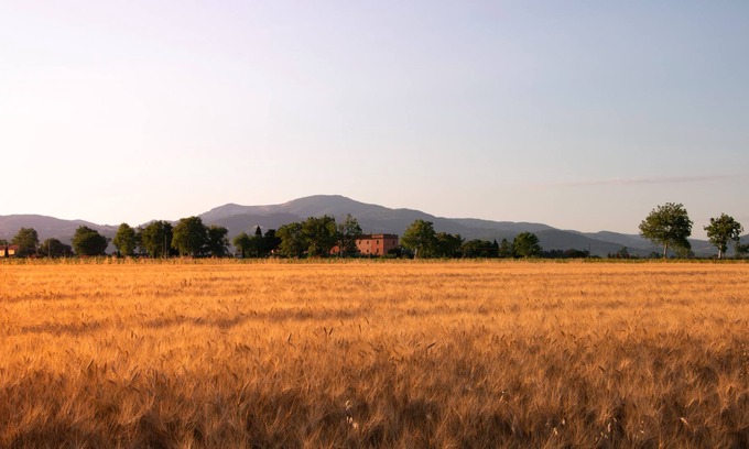 Piombino Other | Farmhouse Pescinone - Ginestra, country and sea