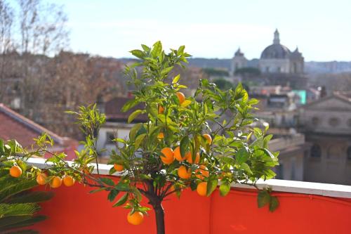 Quartiere XV Della Vittoria Apartment | Farnesina Rooftop Terrace