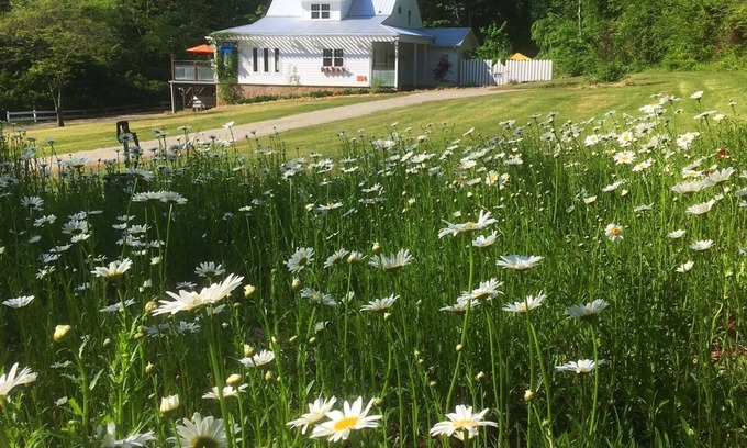 Hendersonville Other | Featherstone FARMHOUSE 2 OR 3 Bedrooms - Perfect for Groups- 2.5 mi. Hville