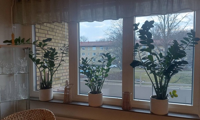 Linkoping Bed & Breakfast | Feel Like Your own Home