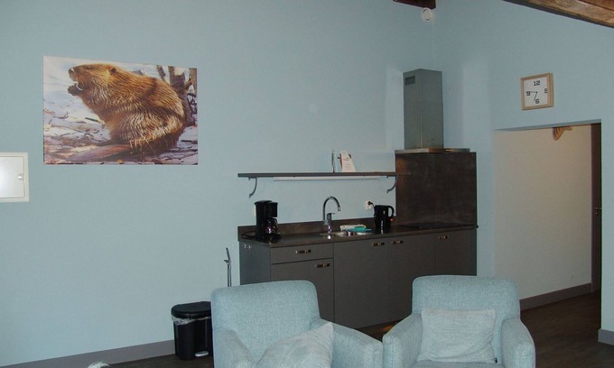 Biberwier Apartment | Ferienhaus 11: Biber - Brabander Alm