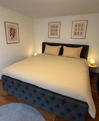 Iznang Apartment | Ferienhaus am Bodensee