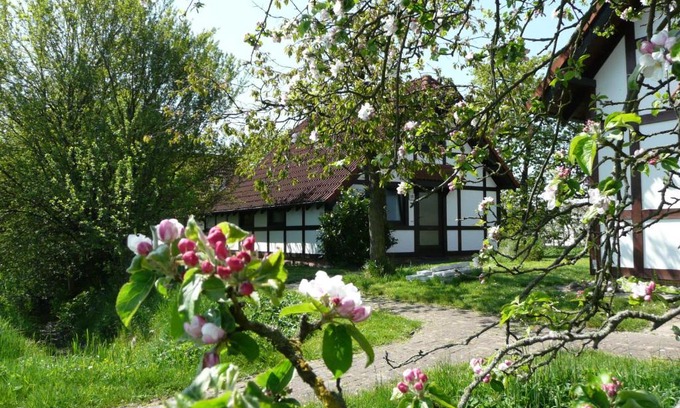 Hollern House | Ferienhaus Deichgraf 86 im Feriend