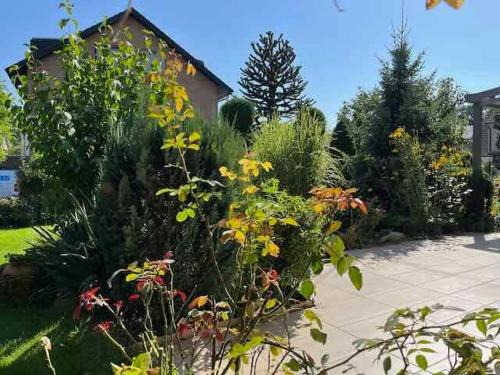 Bad Waldliesborn House | Ferienhaus mit Terrasse und Garten