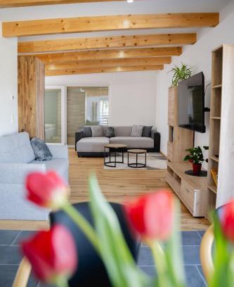 Purbach am Neusiedlersee Apartment | Ferienwohnung über dem Weingut Schüller