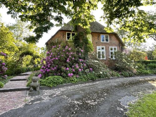 Welt Apartment | Ferienwohnung "Altes Pastorat"