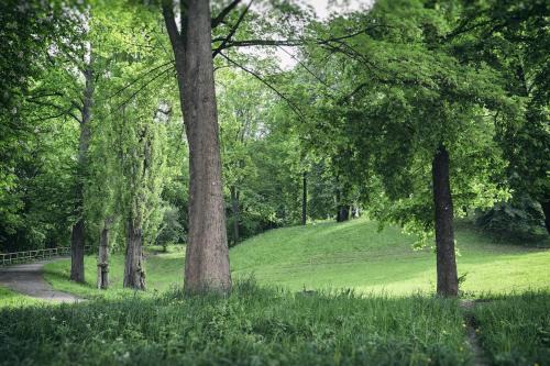 Dolzschen Apartment | Ferienwohnung am Bienertpark