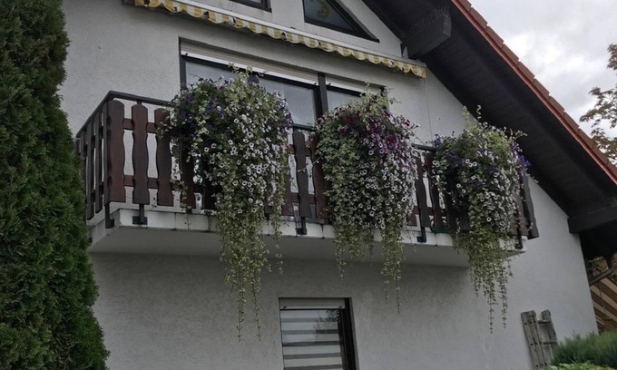 Langenlonsheim Apartment | Ferienwohnung am Weinberg - Holiday apartment with terrace in the garden