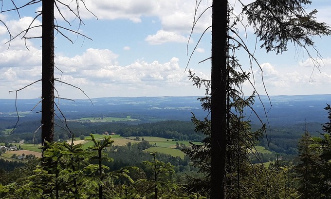 Bernstein Apartment | Ferienwohnung Fichtelgebirge, Oberfranken, Urlaub, Erholung , Bernsteinglück